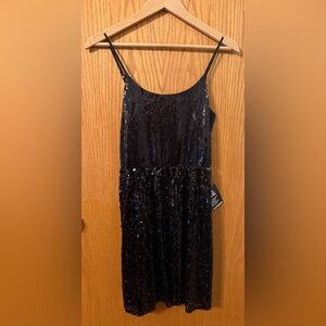 Express Black Sequin Dress
